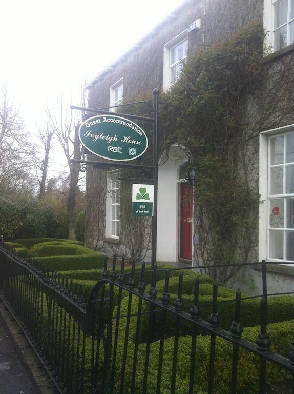 Ivyleigh House Bed & Breakfast Port Laoise Exterior photo